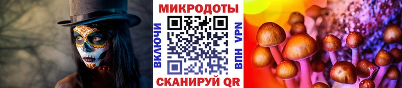 Галлюциногенные грибы Magic Shrooms  Абдулино 